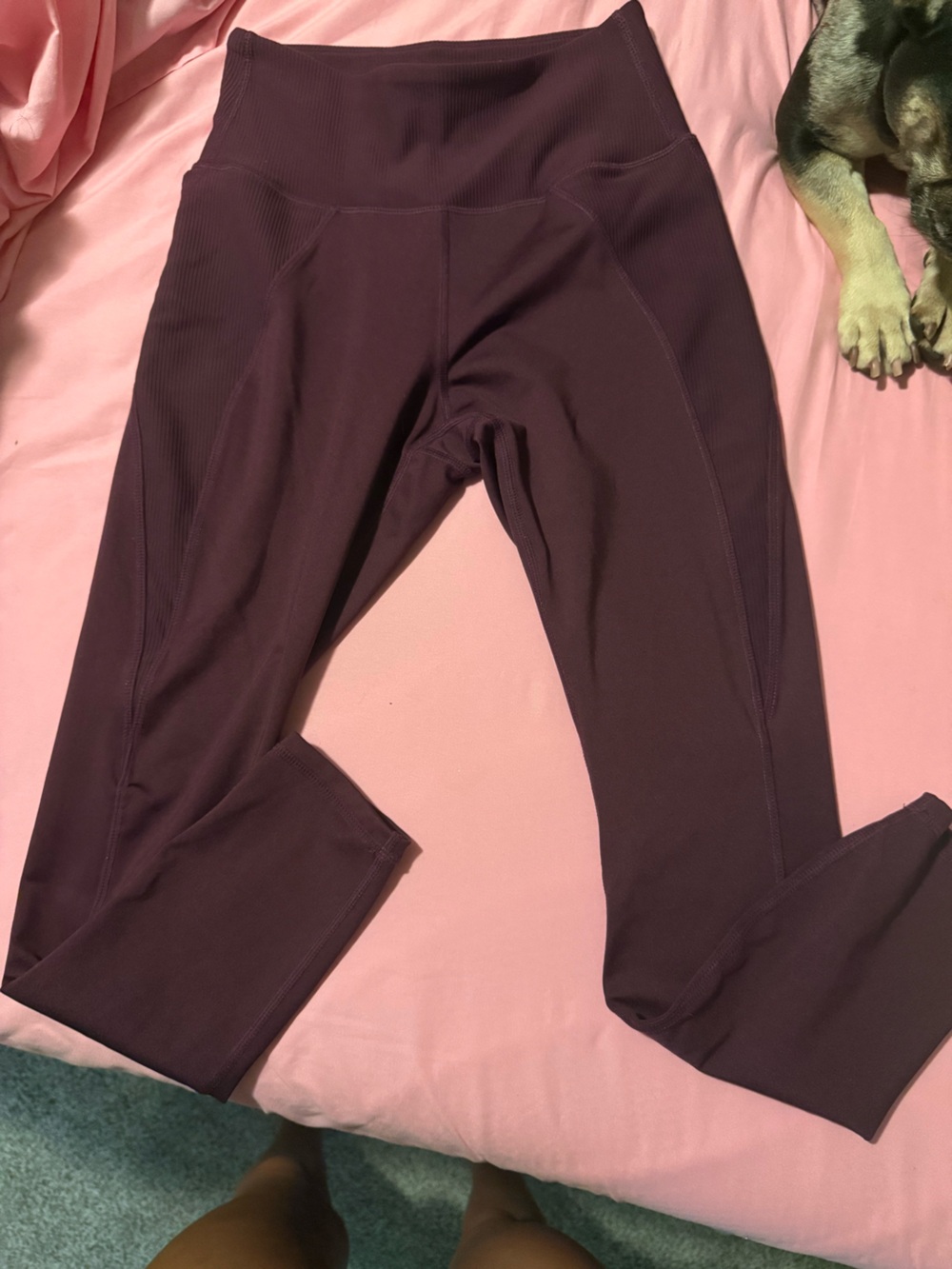 High-Rise Seam Detail Leggings in Plum